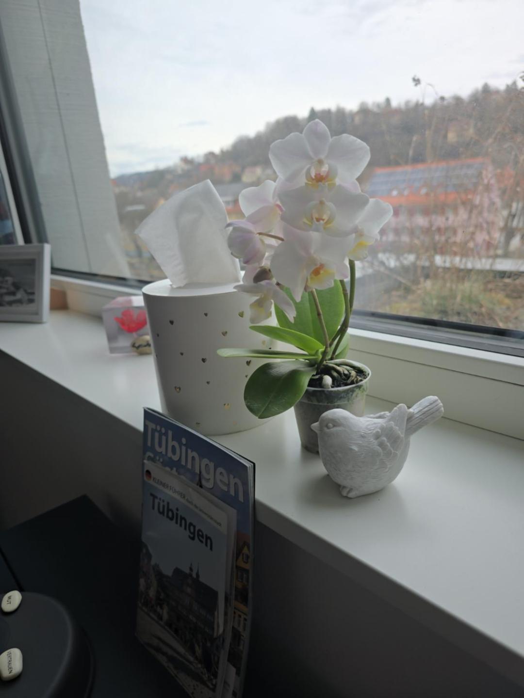 Stadtnahes Gaestezimmer Im Penthouse Bei Esi 투빈겐 외부 사진